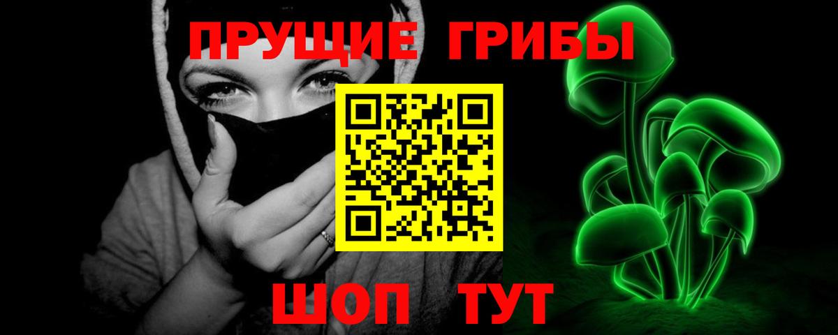 Пермь  Галлюциногенные грибы Psilocybine cubensis  Вход с VPN 